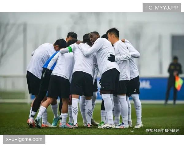 中超十大豪门新赛季阵容深度解析：球迷期待争锋再起，豪门状态能否强势回暖？